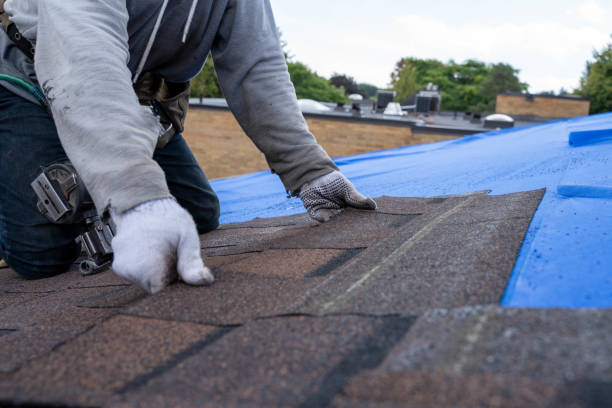 Best Metal Roofing Contractor  in Belmont, NC